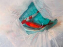 招財如意錦鯉冷水觀(guān)賞魚(yú)大型純種精品紅白三色招財魚(yú)好養耐活風(fēng)水魚(yú)活魚(yú) 十全十美（隨機顏色10條可指定） 35-40cm 曬單實(shí)拍圖