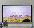 海信電視小墨E5Q Pro 75英寸 768分區U+MiniLED 信芯芯片抗反光防眩光墨晶屏國家補貼世界杯75E5Q-PRO 曬單實(shí)拍圖