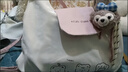 葉余艾米兔女包2025新款可愛(ài)洋氣小眾時(shí)尚簡(jiǎn)約通勤質(zhì)感百搭單肩雙肩包 白配粉(裸包) 曬單實(shí)拍圖