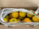 南步浙江慶元甜桔柚 麗水特產(chǎn)甜橘柚黃金貢柚非建陽(yáng)新鮮水果年貨送禮 10斤 精選大果【單果80mm+】禮盒 曬單實(shí)拍圖