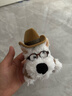 貞嘻求婚戒指盒創(chuàng  )意西高地小狗玩偶驚喜盒子戒指首飾盒驚喜禮物禮盒 小狗戒指盒 曬單實(shí)拍圖