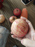 陜洛長(cháng)峰洛川蘋(píng)果 紅富士 2025新果天然新鮮不打蠟 可帶皮吃 產(chǎn)地直發(fā) 凈重4.5斤70mm（新客試吃） 曬單實(shí)拍圖