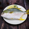 環(huán)球水產(chǎn) 南海金鯧魚(yú)700g 2條 BAP認證深海魚(yú) 冷凍 魚(yú)類(lèi)海鮮 家庭聚餐 曬單實(shí)拍圖