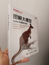 圖解大模型：生成式AI原理與實(shí)戰 大語(yǔ)言模型大模型應用開(kāi)發(fā)Transformer DeepSeek模型原理開(kāi)發(fā)深度學(xué)習 圖靈出品 AI書(shū)籍 曬單實(shí)拍圖