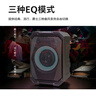 飛利浦（PHILIPS）SD308廣場(chǎng)舞音響戶(hù)外舞臺大功率移動(dòng)便攜式拉桿音箱無(wú)線(xiàn)藍牙大音量K歌擴音配帶雙話(huà)筒麥克風(fēng) 曬單實(shí)拍圖