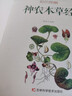彩色圖解神農本草經(jīng)黃帝內經(jīng) 白話(huà)文注解中醫學(xué)經(jīng)典著(zhù)作值全彩珍藏版 彩色圖解神農百草經(jīng)中醫藥學(xué)傳世經(jīng)典書(shū) 中醫經(jīng)典臨床讀本 神農本草經(jīng) 曬單實(shí)拍圖