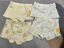 愛(ài)貝迪拉（AIBEDILA）男童內褲兒童純棉寶寶嬰兒小孩小童小男孩男寶四角褲平角短褲全棉 【超柔50s-桑蠶絲內襠】小熊假日- 4條 110 【建議體重25-35斤】 曬單實(shí)拍圖