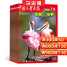 包郵中國兒童畫(huà)報動(dòng)物大世界雜志雜志鋪全年訂閱 2026年1月起訂 1年共12期 幼兒科普讀物 曬單實(shí)拍圖