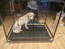 喵先生狗籠子 狗籠小中大型犬加粗加固金毛拉布拉多一體帶廁所分離籠子 方管框架+加粗鐵絲【96*65*78cm】60斤內適用 曬單實(shí)拍圖