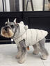 湯尼熊 TAWNEYBEAR寵物衣服狗狗羽絨服秋冬雪納瑞泰迪比熊博美小型犬貓咪保暖馬甲 馬甲羽絨服外套【米灰-新國標90絨】 XL丨背長(cháng)36胸圍53建議14-17斤 曬單實(shí)拍圖