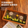 JoyFlower永生花蒲公英相框擺件3.8三八婦女神節生日禮物送女生朋友高級感 曬單實(shí)拍圖