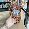 華強北頂配【獨家熱銷(xiāo)100w官版Air4代】藍牙耳機無(wú)線(xiàn)降噪半入耳式pods耳機適配蘋(píng)果iPhone16promax/15/14 【原版全功能降噪版】 空間音頻+滑動(dòng)調音+改名定位+熱銷(xiāo)百萬(wàn) 曬單實(shí)拍圖