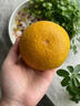 南步浙江慶元甜桔柚 麗水特產(chǎn)甜橘柚黃金貢柚非建陽(yáng)新鮮水果年貨送禮 10斤 精選大果【單果80mm+】禮盒 曬單實(shí)拍圖