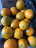 驕瑰融安金桔 順豐-隔日達正宗廣西脆蜜金桔滑皮金桔脆蜜金柑新鮮水果 凈重5斤融安金桔彩箱普裝 果王15-20顆/斤（更大更甜） 曬單實(shí)拍圖