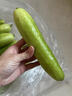 海陽(yáng)白玉黃瓜山東新鮮現摘發(fā)水果小黃瓜農家孕婦生吃青瓜 【新鮮現摘】 3斤 曬單實(shí)拍圖