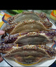 鮮活紅膏梭子蟹 100-150g/只 曬單實(shí)拍圖