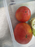 彩虹雨 有機西紅柿500g番茄歐盟認證有機蔬菜新鮮北京有機農場(chǎng)自有農場(chǎng) 曬單實(shí)拍圖