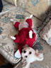 阿莫爾狗狗衣服秋冬季保暖加厚小熊棉衣小型犬泰迪比熊雪納瑞貓咪四腳衣 紅色熊頭 XS 曬單實(shí)拍圖