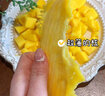 粵迎正宗海南金煌芒新鮮水果當季現摘熱帶水果爆甜多汁大芒果整箱包郵 5斤優(yōu)選果【單果300g+】?jì)?.5斤 曬單實(shí)拍圖