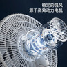 揚子電風(fēng)扇家用落地扇平面扇輕音制冷小型臺式電扇強力學(xué)生宿舍臥室辦公室立式搖頭扇 15葉-機械款--320mm網(wǎng)罩直徑 曬單實(shí)拍圖