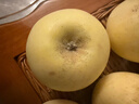 新鮮采摘煙臺正宗奶油富士棲霞蘋(píng)果水果新鮮脆甜整箱冰糖黃金 帶箱9斤超大果（85mm+） 曬單實(shí)拍圖