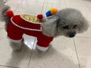 舞獅小狗狗拜年衣服四腳貓咪搞笑比熊泰迪寵物冬季搞怪變身新年裝 舞獅拜年服【貓狗通用】 L 議8-10斤左右 曬單實(shí)拍圖