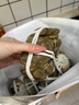 【活蟹】宿有千香霸王蟹精品鮮活大閘蟹洪澤湖螃蟹生鮮水產(chǎn)禮盒裝 公4兩母3兩 3對6只裝 曬單實(shí)拍圖