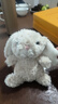 Jellycat英國jellycat甜美小兔公仔超萌毛絨玩具兔子玩偶送女生情人節禮物 米色甜美小兔15cm 曬單實(shí)拍圖