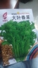 四季播種大葉香菜種子農家老品種芫荽種籽四季陽(yáng)臺盆栽地栽香菜種 香菜種子【3包約1500?！?原廠(chǎng)封裝 曬單實(shí)拍圖