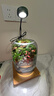苔蘚微景觀(guān)生態(tài)瓶趣味造景綠植創(chuàng  )意禮物盆栽魚(yú)缸好養活桌面臥室 小貓釣魚(yú)單景觀(guān) 16*16*22（圓） 曬單實(shí)拍圖