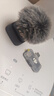 大疆 DJI Mic Mini 迷你無(wú)線(xiàn)高品音質(zhì) 降噪領(lǐng)夾麥克風(fēng) 【安卓+蘋(píng)果15/16/17系列】手機版 一拖一 曬單實(shí)拍圖
