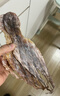 北海印象【北海產(chǎn)地】章魚(yú)干250g淡干八爪魚(yú)煲湯滋補火鍋食材源頭直發(fā)包郵 曬單實(shí)拍圖