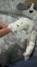 蒂樂(lè )嬰兒斜頸矯正器寶寶定型枕月牙枕頭兒童糾正彎脖偏頭頸托新生枕頭 小兔【純棉款】枕套+枕芯- 6個(gè)月+ 曬單實(shí)拍圖