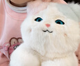 猛龍AI智能對話(huà)陪伴聊天玩偶益智兒童玩具毛絨寵物電子貓新年禮物 曬單實(shí)拍圖
