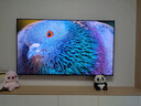 海信電視E7Q 75英寸 信芯芯片H6超頻版 黑曜屏Pro XDR5200nits 2600分區 國家補貼 世界杯電視75E7Q 曬單實(shí)拍圖