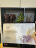敷爾佳【新品上市】葡萄籽柔光彈潤水油雙倉面膜保濕抗皺緊致淡紋 體驗裝2片 曬單實(shí)拍圖