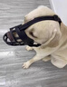 狗狗嘴套外出防咬防叫防亂吃馬犬中大型犬黑色反光狗嘴罩止吠神器 黑色反光款【升級款防掙脫可喝水】 3號【嘴圍25-29cm 建議體重35-55斤】 曬單實(shí)拍圖