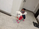 阿莫爾狗狗腳套外出防滑防水襪軟底耐磨狗鞋柯基柴犬比熊小型犬寵物鞋子 冰莓粉【四只裝】 S 曬單實(shí)拍圖