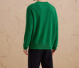 ERDOS【純羊絨】圓領(lǐng)落肩修身減齡時(shí)尚保暖男套衫羊絨衫  瑪瑙綠【非善系列】 M 170/92A 曬單實(shí)拍圖