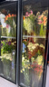 維仕美鮮花保鮮柜展示柜保鮮柜冷藏柜鮮花柜商用冰箱花店鮮花展示柜蛋糕柜單門(mén)雙門(mén)三門(mén)大容量保鮮展示柜 創(chuàng  )世-超大三門(mén)-無(wú)需排水1860*600*2010 2025冠軍推薦豪華款 曬單實(shí)拍圖