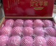 靈寶蘋(píng)果寺河山sod天然富硒蘋(píng)果生鮮蘋(píng)果脆甜禮盒裝水果特產(chǎn) 85~89mm無(wú)sod標15枚禮盒裝 曬單實(shí)拍圖