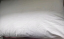 水星家紡枕頭枕芯酒店枕頭護頸枕頭芯家用單個(gè)純棉抗菌可水洗中枕48x74cm 曬單實(shí)拍圖