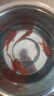 耐寒冷水血鸚鵡招財好養觀(guān)賞魚(yú)黑眼葡萄眼金魚(yú)魚(yú)苗淡水魚(yú) 冷水鸚鵡5-8cm5條 曬單實(shí)拍圖