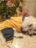 （）大狗衣服中型大型犬狗狗衣服四腳衛衣寵物保暖拉布拉多 姜黃  建議60-75斤 曬單實(shí)拍圖