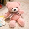 泰迪熊毛絨玩具小熊玩偶創(chuàng  )意百變圍巾熊公仔布娃娃送女友生日禮物 圍巾款-粉色 30cm 曬單實(shí)拍圖
