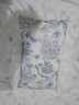 微光里 沙發(fā)抱枕法式浪漫田園荷葉邊木耳邊花邊抱枕靠枕沙發(fā)床頭抱枕套 【長(cháng)形30*50】藍繡花邊腰枕 曬單實(shí)拍圖