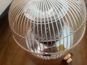 鉆石牌烤火爐鳥(niǎo)籠式取暖器小太陽(yáng)家用電熱電暖器電烤爐電暖氣節能速熱小型暖風(fēng)機 無(wú)極調溫1000W【傾倒斷電】碳晶盤(pán) 曬單實(shí)拍圖
