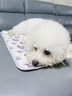 鉑吶苓寵物加熱墊恒溫電熱毯貓咪專(zhuān)用狗狗加溫墊防咬取暖器狗窩貓窩保暖 曬單實(shí)拍圖