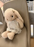 伽百利（Gabriel）毛絨玩具兔子公仔娃娃女孩生日禮物小兔子送女生安撫玩偶 W3132維多利亞50cm 送禮盒 1 曬單實(shí)拍圖