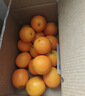 京覓江西贛南臍橙9斤凈重橙子鉆石果220g起手提禮盒甜橙水果源頭直發(fā) 曬單實(shí)拍圖
